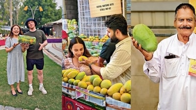 Delhi’s 35th Mango Festival is happening at Dilli Haat in Janakpuri between July 3 to July 5. (Photos: Anurag Mehra/HT) Delhi’s 35th Mango Festival is happening at Dilli Haat in Janakpuri between July 3 to July 5. (Photos: Anurag Mehra/HT)