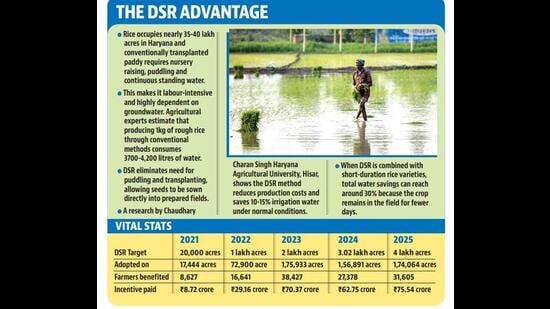 Chandigarh: Despite ₹247 cr incentive, Haryana's DSR push struggles to meet targets