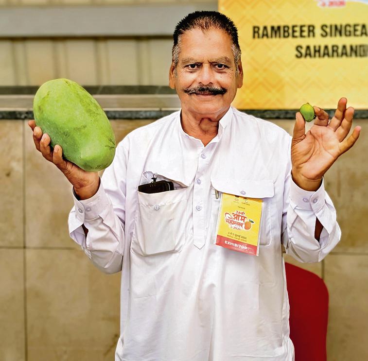Rambeer Singh, a mango grower from Haryana's Saharanpur. Rambeer Singh, a mango grower from Haryana's Saharanpur.