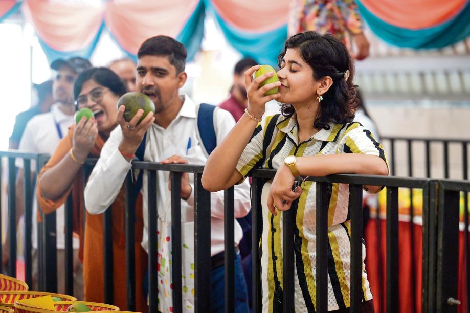 A visitor puts a mango grower’s tip to the test, smelling a mango to judge its sweetness before making a choice. (Photo: Raj K Raj/HT) A visitor puts a mango grower’s tip to the test, smelling a mango to judge its sweetness before making a choice. (Photo: Raj K Raj/HT)