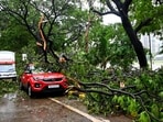 Mumbai rain highlights: Heavy rainfall in Mumbai caused large trees to collapse at Shivaji Park in Dadar.