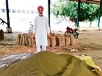According to provisional estimates, moong was cultivated on nearly one lakh acres across various districts of Punjab this year, up from around 67,000 acres in 2025. (HT)