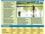 Agriculture minister Shyam Singh Rana says that the DSR technique is very effective to conserve groundwater while reducing the cost of paddy cultivation. (HT Photo)
