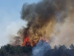 Tens of thousands of people were evacuated from their homes as a wildfire gripped Ille-sur-Tet near Perpignan, Pyrenees-Orientales departement in France