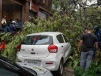 వర్షాలకు ముంబైలో కూలిపోయిన ఓ చెట్టు..(AFP)
