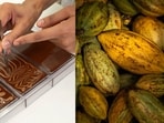 How India’s bean-to-bar chocolate makers are taking on Swiss and Belgian giants