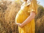 Which stage of pregnancy is most vulnerable to pollution.