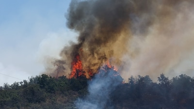 Tens of thousands of people were evacuated from their homes as a wildfire gripped Ille-sur-Tet near Perpignan, Pyrenees-Orientales departement in France (Reuters)