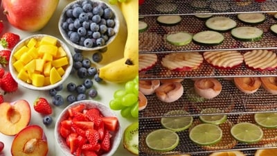 Fresh Fruits vs Dry Fruits (Freepik) Fresh Fruits vs Dry Fruits (Freepik)
