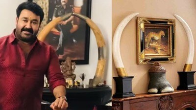 Mohanlal: 10 ఏనుగు దంతాలు, 13 విగ్రహాలు ఉన్నాయని ఒప్పుకున్న మోహన్ లాల్- నిజాలు తేల్చేందుకు డీఎన్ఏ టెస్టు- శిక్ష తప్పదా? Mohanlal: 10 ఏనుగు దంతాలు, 13 విగ్రహాలు ఉన్నాయని ఒప్పుకున్న మోహన్ లాల్- నిజాలు తేల్చేందుకు డీఎన్ఏ టెస్టు- శిక్ష తప్పదా?