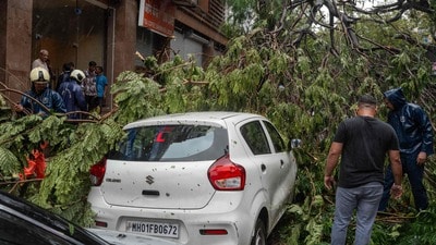 వర్షాలకు ముంబైలో కూలిపోయిన ఓ చెట్టు.. (AFP) వర్షాలకు ముంబైలో కూలిపోయిన ఓ చెట్టు.. (AFP)