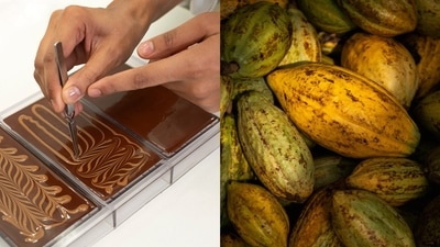 How India’s bean-to-bar chocolate makers are taking on Swiss and Belgian giants How India’s bean-to-bar chocolate makers are taking on Swiss and Belgian giants