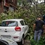 వర్షాలకు ముంబైలో కూలిపోయిన ఓ చెట్టు..
