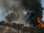 WHO Regional Director for Europe Hans Kluge calls on European countries to develop heat-health action plans as another heat dome develops over the continent