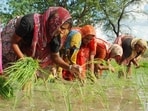 India recorded its fifth-driest June in more than a century this year. (AP)
