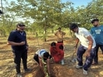 Those looking to participate in tree plantation drives can volunteer with several environmental organisations across the city.