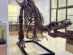 The NHM at Mizoram University was designated on June 19 on the recommendation of the National Biodiversity Authority (NBA). (MIzoram University)