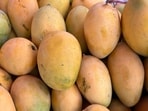 Naturally-ripened mangoes are always healthier for consumption. 