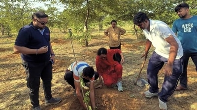 Those looking to participate in tree plantation drives can volunteer with several environmental organisations across the city. Those looking to participate in tree plantation drives can volunteer with several environmental organisations across the city.