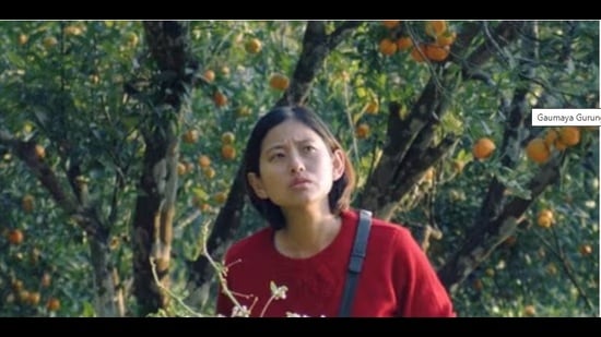 Gaumaya Gurung in Shape of Momo (Film still)