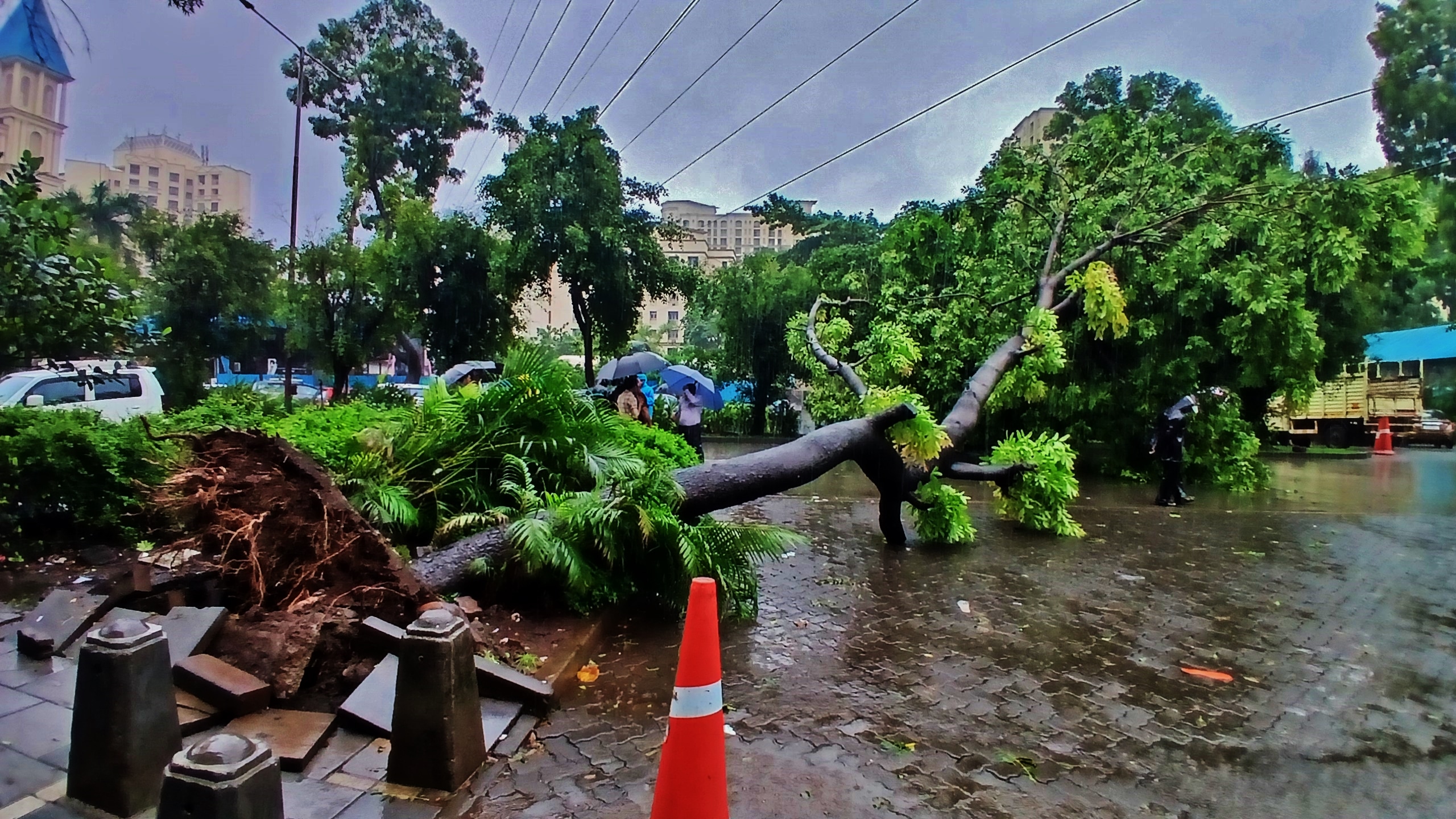 As heavy rainfall continues across Thane district, a tree fell on an MSETCL 100 kV high-tension power line at Hiranandani Estate Patlipada on Ghodbunder Road in Thane. (Praful Gangurde/HT)