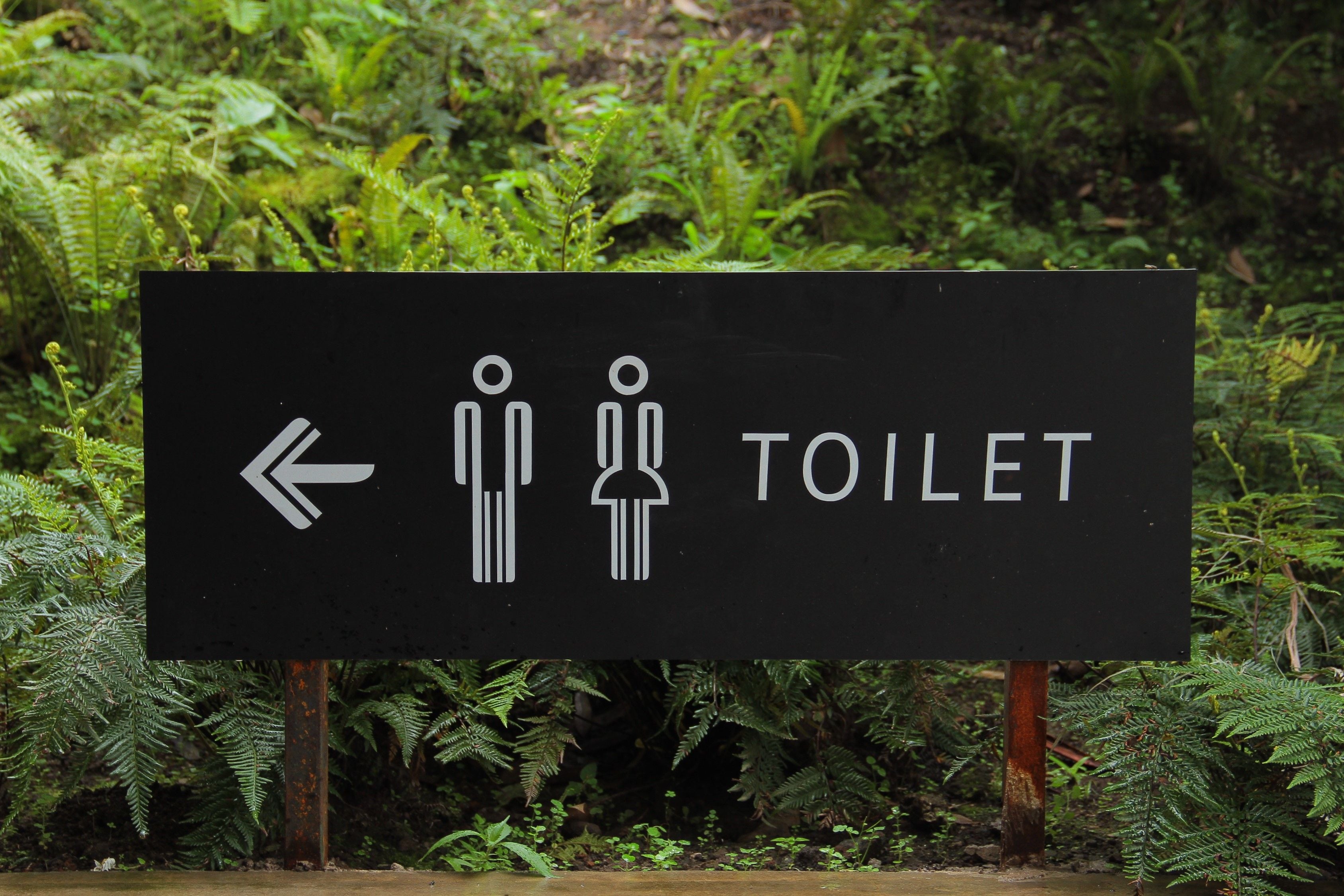 Frequent urge to visit the toilet but not being able to pee might be a sign of UTI, shares Dr Jain. (Pexel)