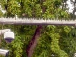 To tackle the problem, Delhi Police has begun installing “anti-bird spikes” around CCTV cameras across the high-security zone.
