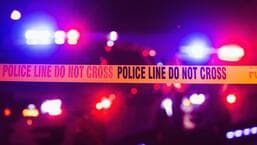 Two killed, over six injured as trailer crushes car on Delhi-Jaipur highway