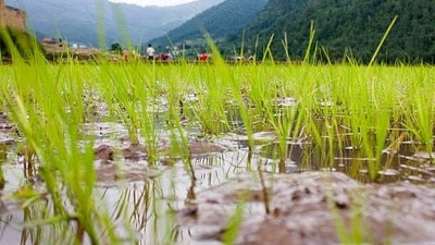 జులై వర్షాలు జులై వర్షాలు