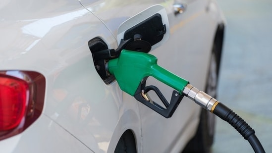 Petroleum Minister Hardeep Singh Puri said the government is not rushing the decision to roll out E25 petrol.