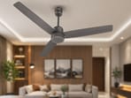 Most of these fans come with 1200mm long blades, which makes them ideal for bedrooms and living rooms.(HT)