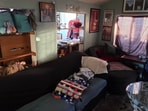 A hidden cat is blending perfectly into this cluttered living room.