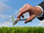 TV sporting events now include almost as many commercials for lush green grass as little blue pills.