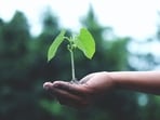 Uttar Pradesh has initiated a mass plantation drive, aiming to plant 242 crore saplings since 2017, said Sunil Chaudhary.
