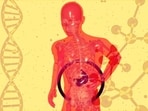 In India, pooled estimates suggest fatty liver disease may affect around 38% of adults, that is over 100 million people. (Unsplash)