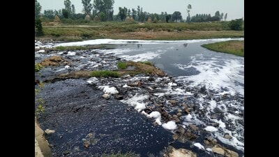 HSPCB chairman said that out of 11 major drains discharging into Yamuna, seven have shown considerable improvement in water quality over the past year. HSPCB chairman said that out of 11 major drains discharging into Yamuna, seven have shown considerable improvement in water quality over the past year.