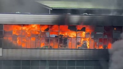 Fire engulfed the multi-storey factory where 239 people were inside the premises. (X/@newszg_official) Fire engulfed the multi-storey factory where 239 people were inside the premises. (X/@newszg_official)