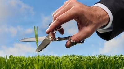 TV sporting events now include almost as many commercials for lush green grass as little blue pills. TV sporting events now include almost as many commercials for lush green grass as little blue pills.