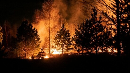 Strong winds fuel Thoothukudi fire, several houses reduced to ashes (Representational image/Unsplash)