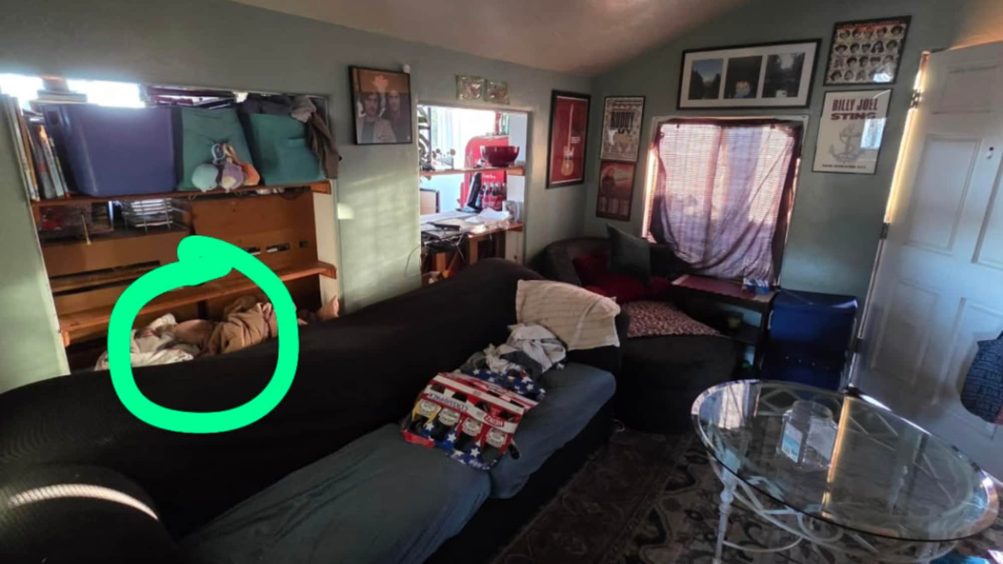 The cat is hidden among the clutter in this living room. (Reddit) The cat is hidden among the clutter in this living room. (Reddit)