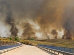 Several victims of the fire in Almeria were found inside burnt-out vehicles. 