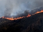 Firefighters battle a wildfire that has killed at least 12 people in Almeria, southern Spain.