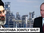 Russia has imposed a diesel export ban after repeated Ukrainian drone strikes disrupted major refineries and fuel infrastructure Russia has imposed a diesel export ban after repeated Ukrainian drone strikes disrupted major refineries and fuel infrastructure