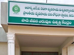 అగ్రికల్చర్ డిగ్రీ ప్రవేశాలు