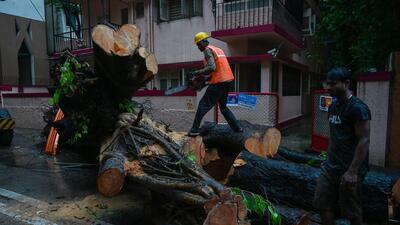 Mumbai, India. June 30, 2026 - Vihan Srivastav, an 11-year-old student, died, and four other children were injured when a large tree collapsed onto their school bus on Road No 11 in Chembur, Mumbai, India. June 30, 2026. (Photo by Raju Shinde/HT Photo) (Raju Shinde) Mumbai, India. June 30, 2026 - Vihan Srivastav, an 11-year-old student, died, and four other children were injured when a large tree collapsed onto their school bus on Road No 11 in Chembur, Mumbai, India. June 30, 2026. (Photo by Raju Shinde/HT Photo) (Raju Shinde)