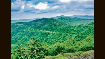 Batı Ghats, 2100 yılına kadar Hindistan'ın en büyük karbon yutağı haline gelecek: IITM araştırması