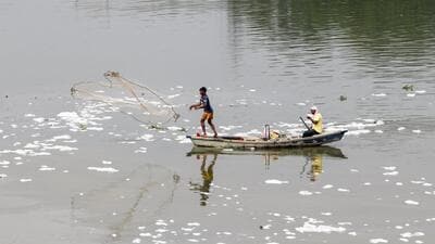 Yamuna in Delhi over the past week. (ANI) Yamuna in Delhi over the past week. (ANI)