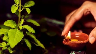 <p>ప్రతిరోజూ ఉదయం స్నానం చేసిన తర్వాత తులసి మొక్కకు నీరు పోయడం శుభప్రదం. అయితే ఆదివారాలు, ఏకాదశి తిథి, సూర్యగ్రహణాలు, చంద్రగ్రహణాల రోజులలో తులసికి నీరు పోయకూడదు. ఈ రోజులలో తులసి నీరు లేకుండా ఉపవాసం ఉండి విశ్రాంతి తీసుకుంటుందని పెద్దల సాంప్రదాయ నమ్మకం.</p> <p>ప్రతిరోజూ ఉదయం స్నానం చేసిన తర్వాత తులసి మొక్కకు నీరు పోయడం శుభప్రదం. అయితే ఆదివారాలు, ఏకాదశి తిథి, సూర్యగ్రహణాలు, చంద్రగ్రహణాల రోజులలో తులసికి నీరు పోయకూడదు. ఈ రోజులలో తులసి నీరు లేకుండా ఉపవాసం ఉండి విశ్రాంతి తీసుకుంటుందని పెద్దల సాంప్రదాయ నమ్మకం.</p>