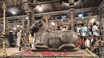 ఐఆర్సీటీసీ దివ్య దక్షిణ యాత్ర విత్ అరుణాచలం టూర్ (HT Telugu) ఐఆర్సీటీసీ దివ్య దక్షిణ యాత్ర విత్ అరుణాచలం టూర్ (HT Telugu)