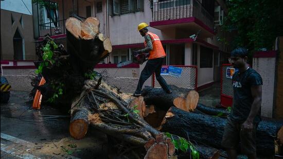 Mumbai, India. June 30, 2026 - Vihan Srivastav, an 11-year-old student, died, and four other children were injured when a large tree collapsed onto their school bus on Road No 11 in Chembur, Mumbai, India. June 30, 2026. (Photo by Raju Shinde/HT Photo) (Raju Shinde)